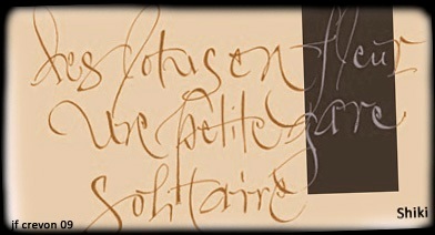 Haiku et calligraphie